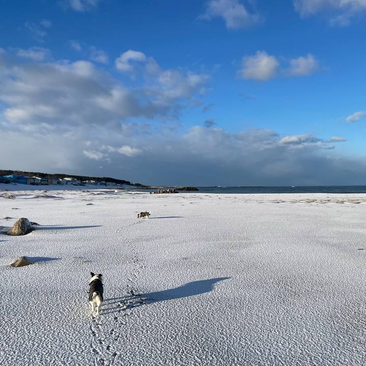 3bec8b79 a2ac 4b44 930b f333cec32209 1740095657164