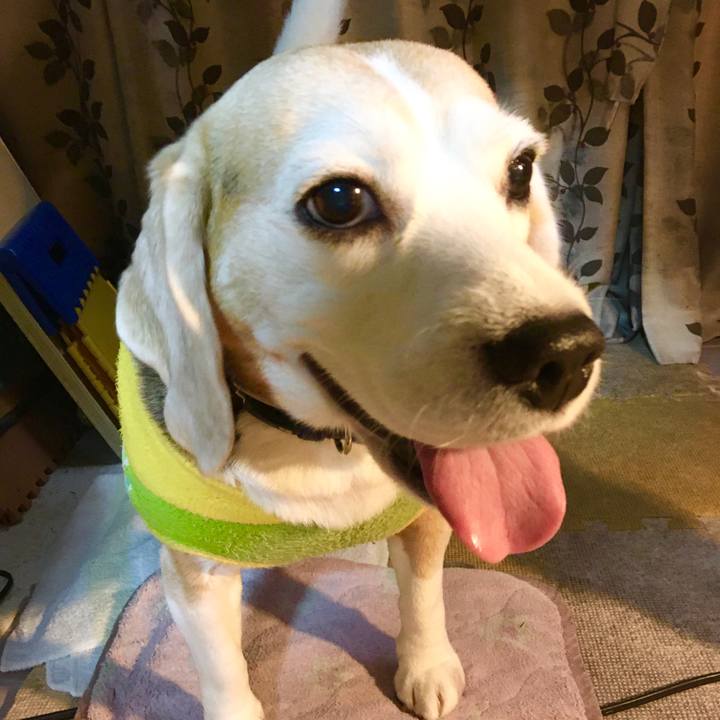 3bec9118 a4fa 4d46 8d3d 8189ec72afc6 1575701694981