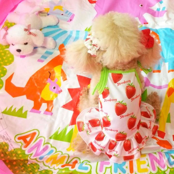 3becb1d4 3cfb 450b be5b 5b93199dffa0 1558670434045