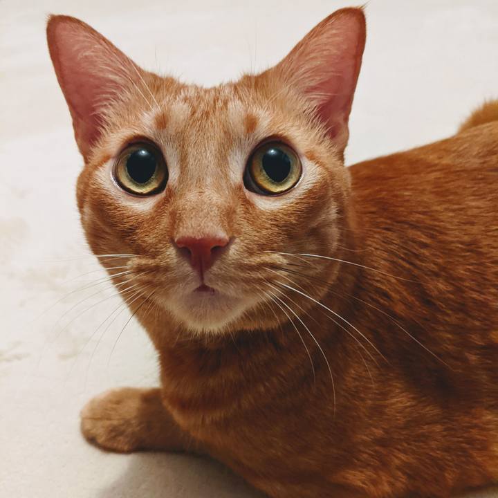 3bed2885 78fd 44bd a1e5 2aa46cc0ec8b 1631350584464