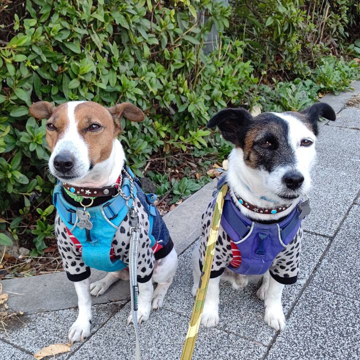 3bed331b 9ba2 4e9a aa97 023ca9f19666 1668035251442