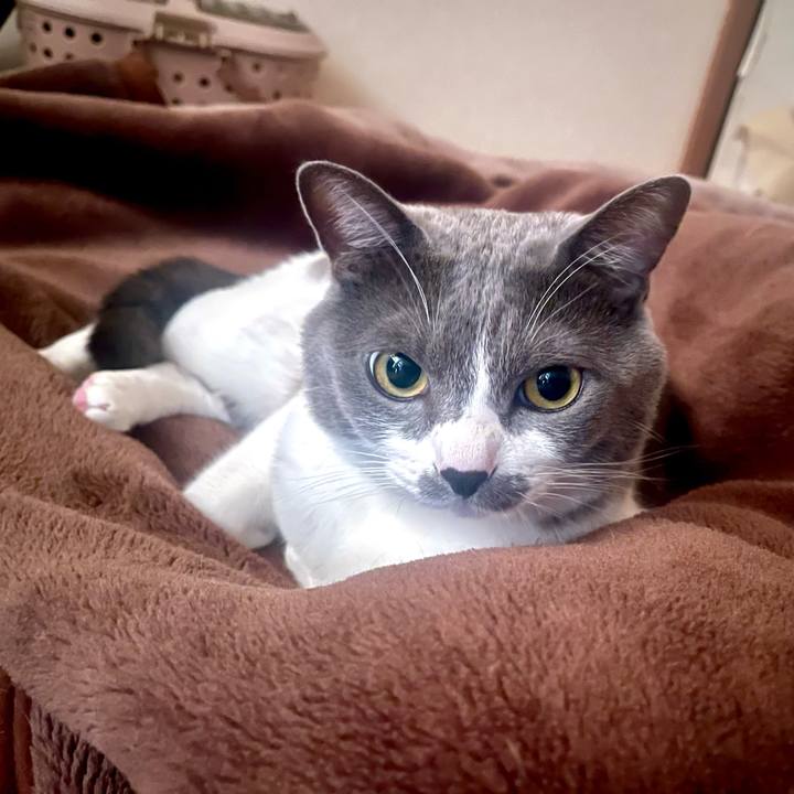 3bed3b5a cd06 4a87 bc14 75338d6113ab 1668377878283