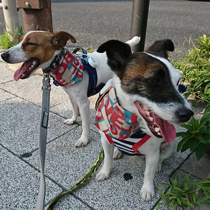 3bed62af 1b1a 44ab a959 02762781d1b0 1531868474182