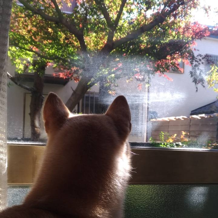 3bed7b2b 82a6 44bb a7c4 e52b3ab338b3 1542167181499