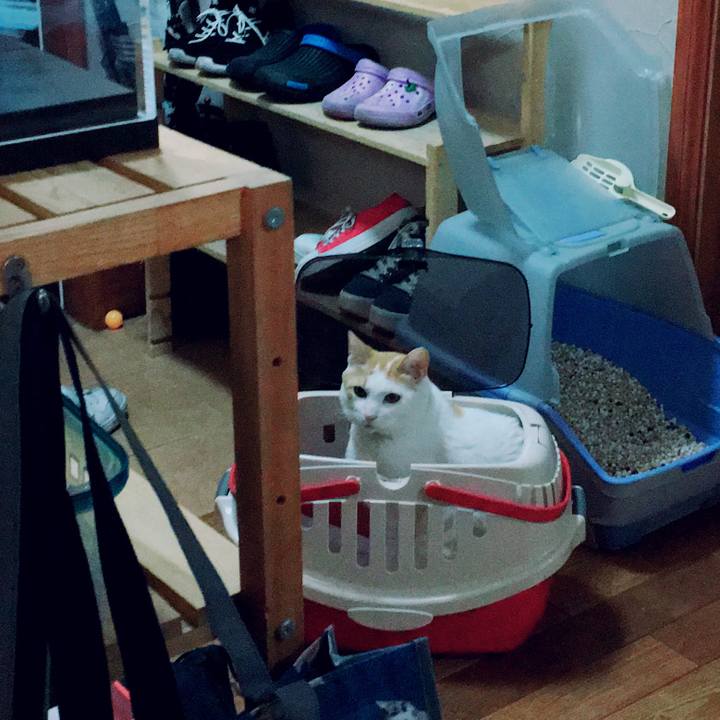 3bed914f fe42 4e7f ab9b 8dc8c1c6dbea 1552904059706