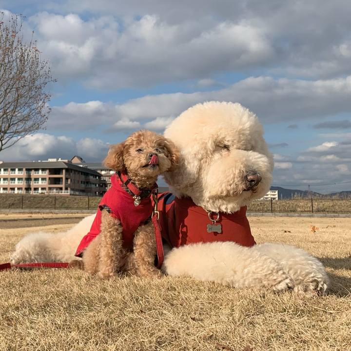 3bedabb3 773f 4d62 a2f8 fa9811ea5be1 1766158860943