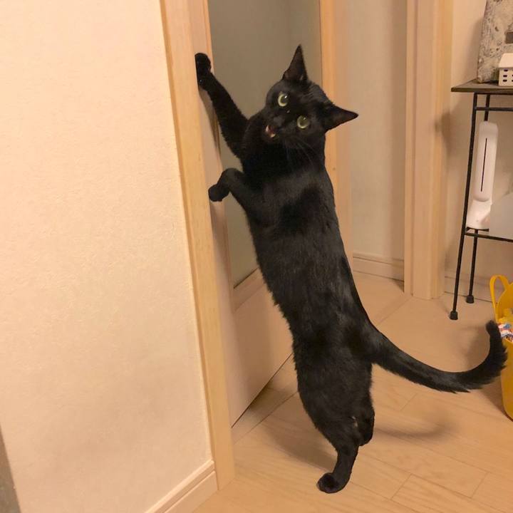 3bede10d 8bf4 4cb9 970d 88238bbac88c 1558441961676