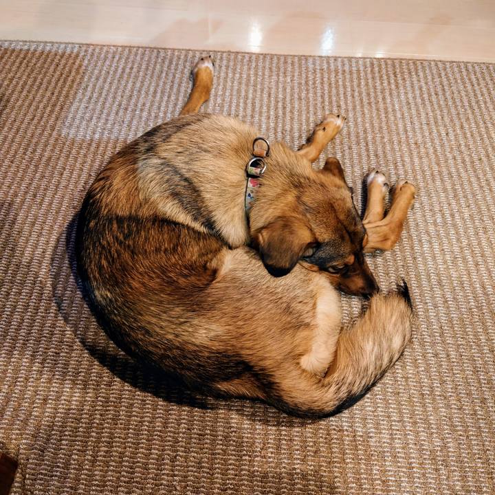 3bedfae2 5f24 47f1 97cd 92247b1483eb 1713790904739