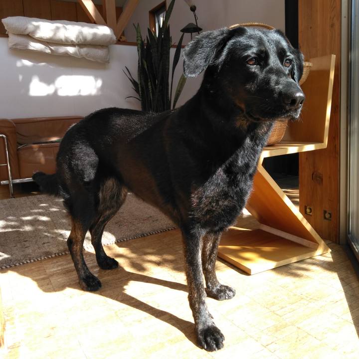 3bee1dcc df0a 4aad bca7 c1cff83c0dca 1540687089945