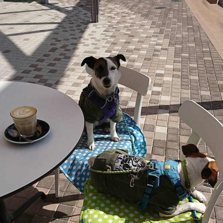 3bee608e 7d1f 4d64 9db5 6c51679adf07 1614403600649