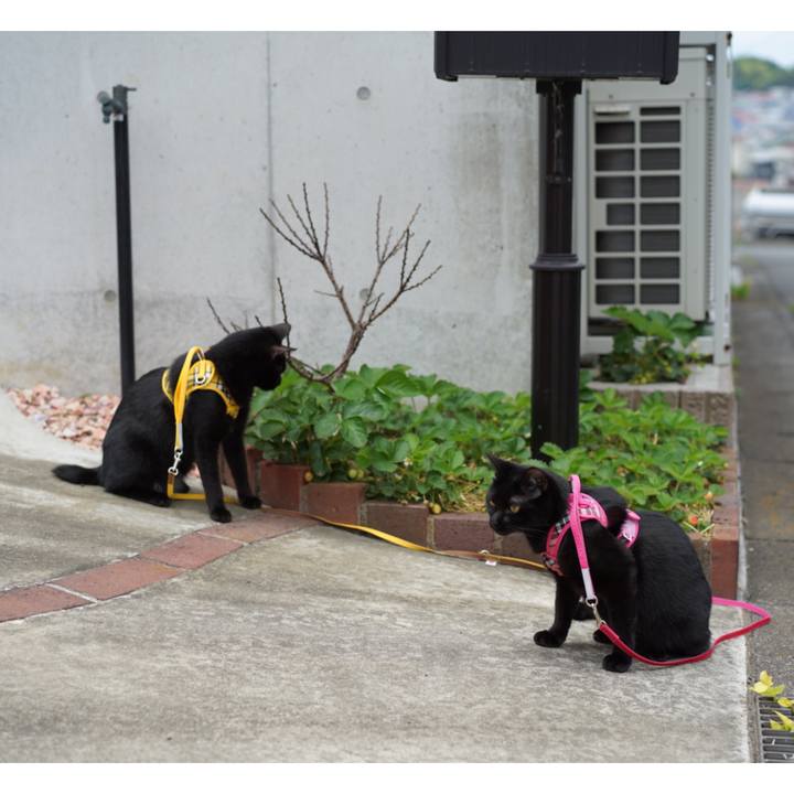 3bee7936 042d 447d b560 80317fd11ed5 1557114270676