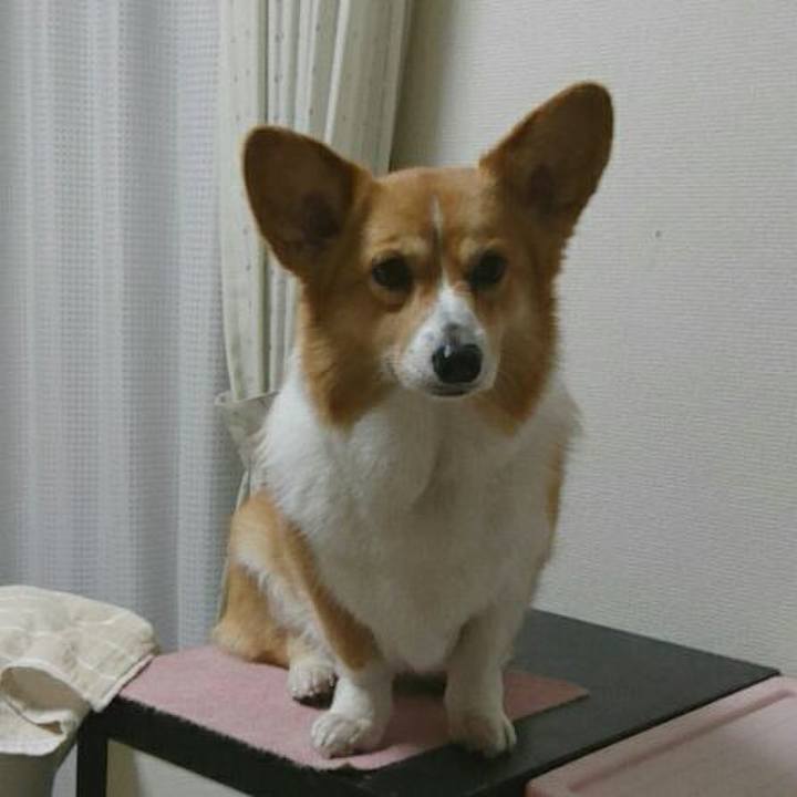 3bee8e67 2fb3 49ec 9f97 a119afb7e340 1523278136820