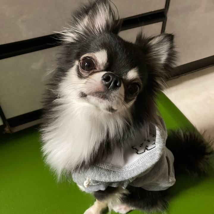 3beeaf35 604f 4e9c 94a7 9a091fe9a3a5 1644158094727