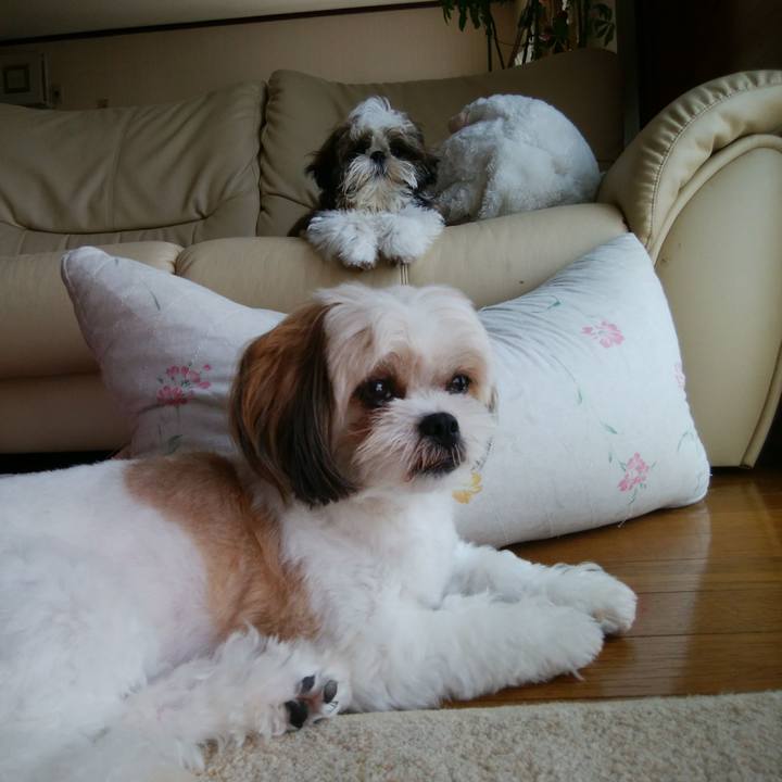 3beeb592 a359 4f50 b56f 172b002f8485 1535938183278