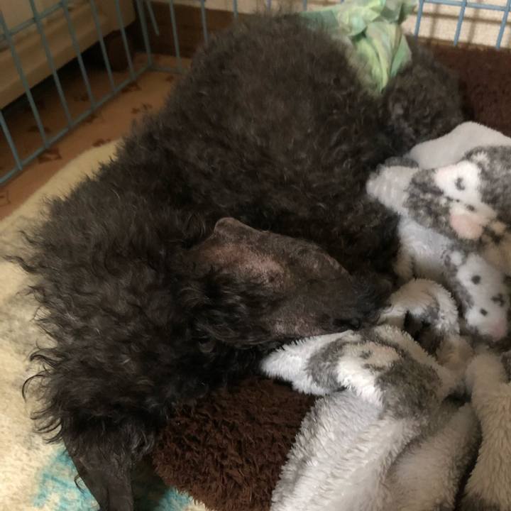 3beee171 cfb7 45ee 813f 5836f4943c3f 1562390177212