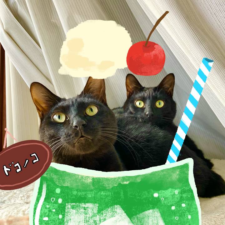 3beee491 48f7 48a0 8d10 a3c207b30ba2 1755086053732