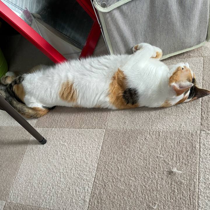 3bef389d 4423 499f ab03 67c45299a8f6 1661672106558