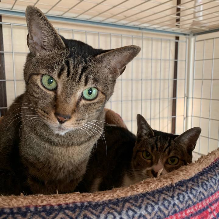 3bef52e4 09c6 4c06 b3c6 aa026e767bc0 1547600233224