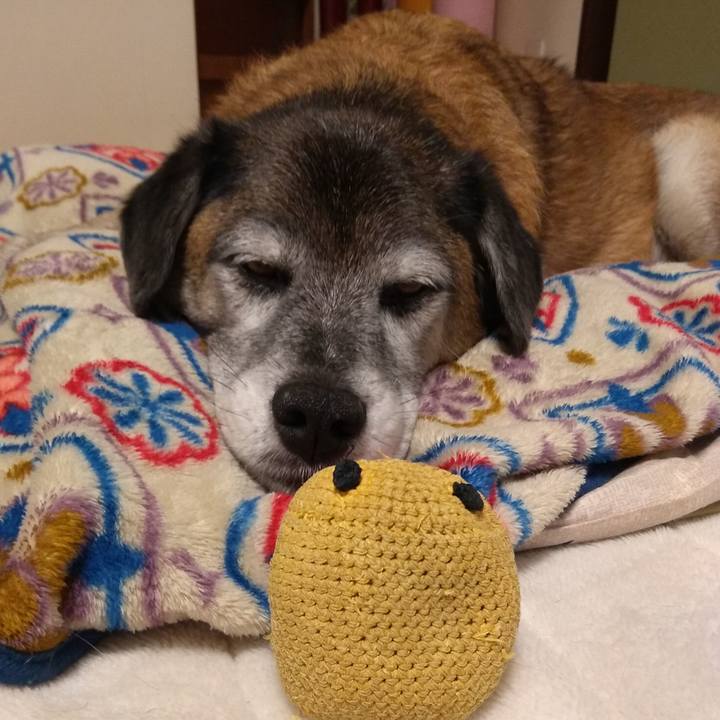 3bef559a f168 4f73 8dee 8d50cb07fa87 1574511920492