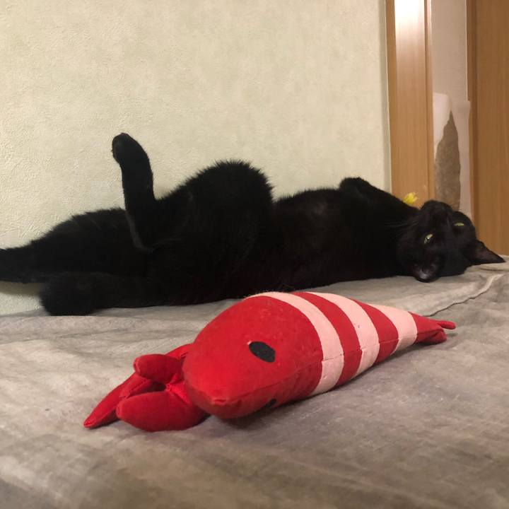 3bef64d3 8ddc 4a88 8ba0 a4c1b2fcbb93 1569330910131