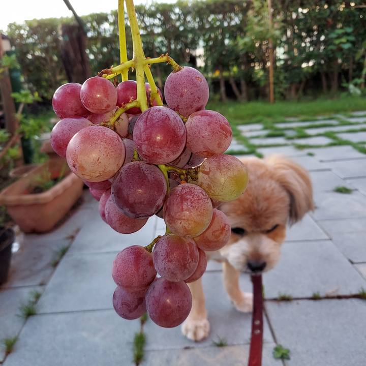 3bef775b 999a 4413 92a7 e6441999ae35 1628550318740