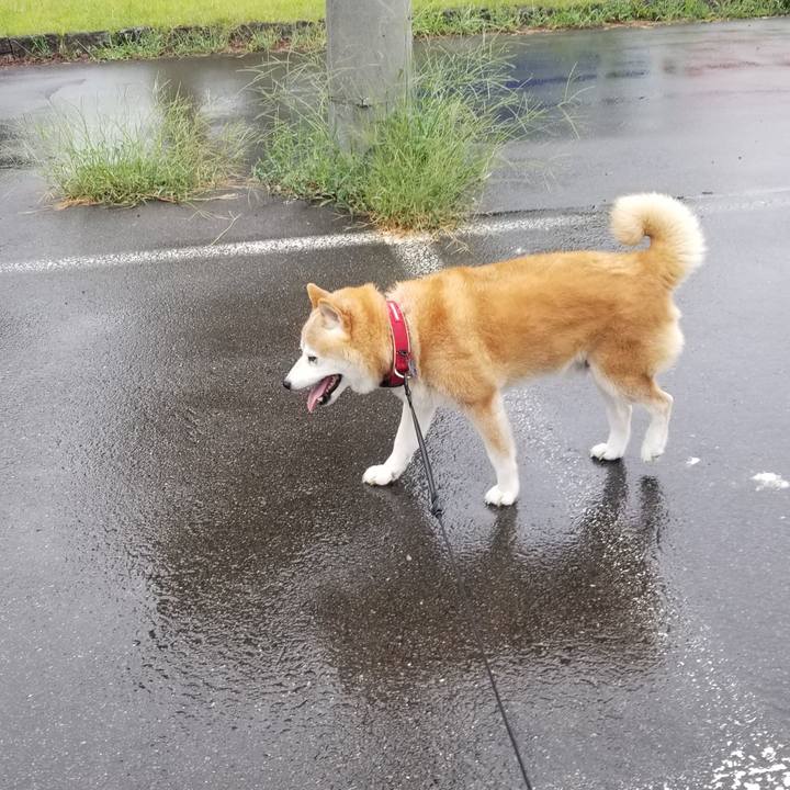 3bef884f 4aef 4e62 91ab fce690c77b88 1724907443113