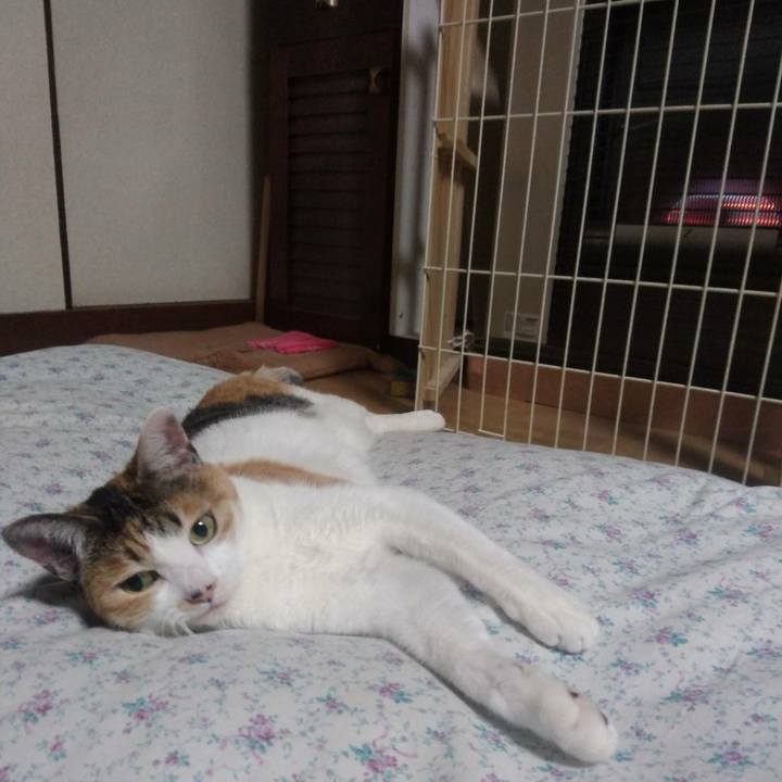 3bef8a51 c272 4d73 91e8 78988cf3de30 1573737996612