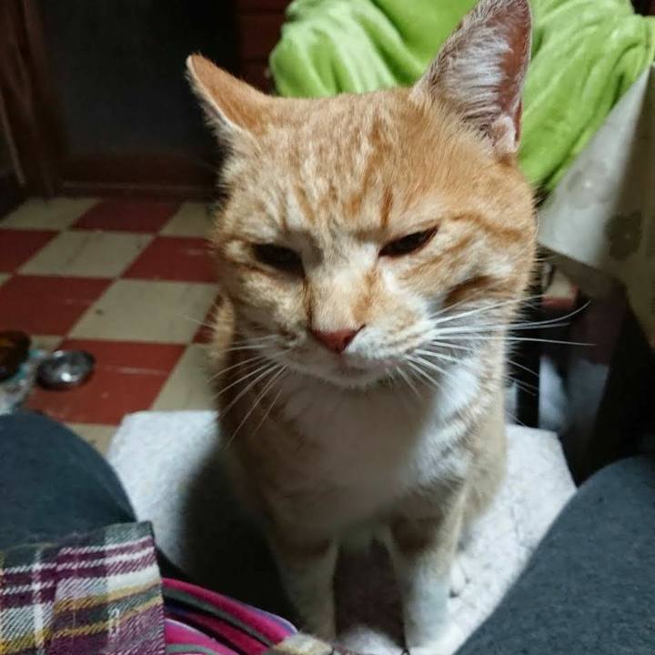 3befc60c 2463 4e32 82b1 c6b4afbc21c5 1582491933016