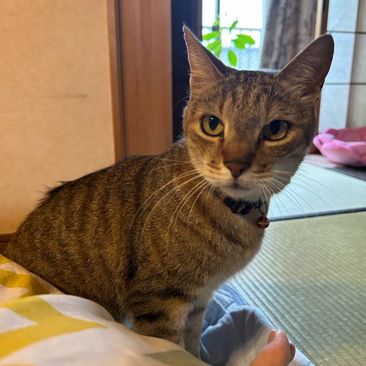 3befc6d6 57df 41d8 b1a3 5f963ab2366f 1687468183220