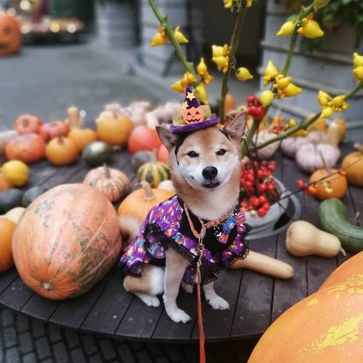 3beff532 b9bc 4e03 bac4 be647d70378d 1665241751036