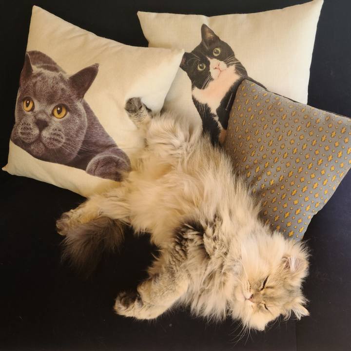 3bf00c33 09d4 4639 b5b8 448f268ebea8 1647668207189