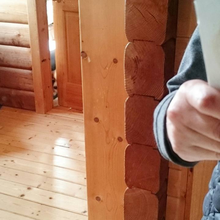 3bf02745 09a9 4999 8198 f502fcf531dd 1551829446420