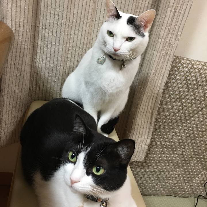 3bf044eb eb18 48fd a70e fca6698ddd21 1516881297598