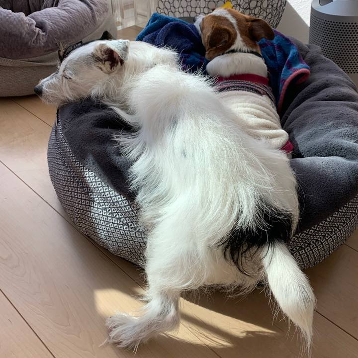 3bf04840 07db 4991 a57c 0276ceb09100 1607829784401