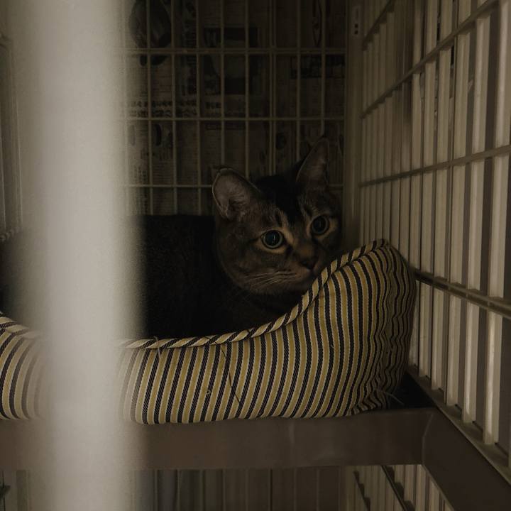 3bf07549 04d6 42fd a4af 2a5ecb5553ec 1765206324523