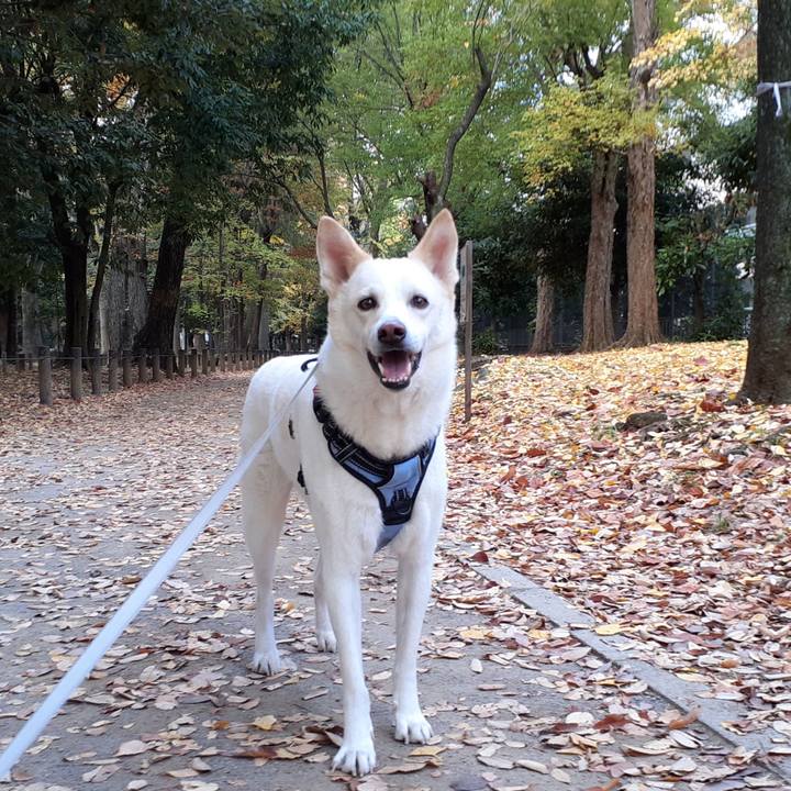 3bf0992f 37c6 4cd9 b041 0e1346305cbc 1668219357755