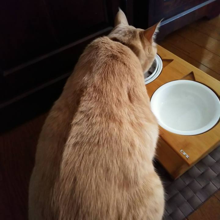 3bf0b442 d5dd 43ab 8fcd 0eb24595d1bb 1618956892541