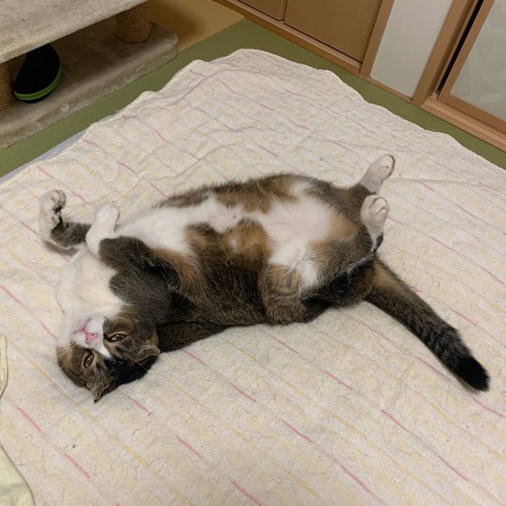 3bf0d705 540b 41c8 a44c f7af15a38612 1590935677984