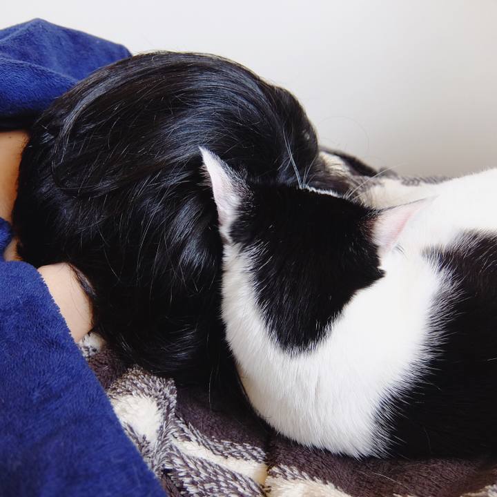 3bf12eb1 78bf 4e7b 87a7 1b41a33f95ce 1524050106227