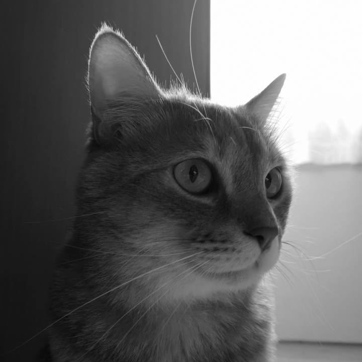 3bf17fe7 528d 4d99 a0d9 bcc9d9c19e9e 1572920068509