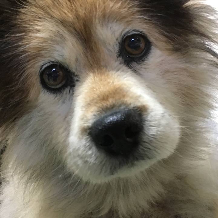 3bf1d161 c6e9 4ab7 9361 c126d3ea424b 1605350310982