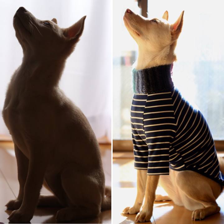 3bf1e1e1 fef1 46c3 a705 ec7a37f7dd6f 1519019085751