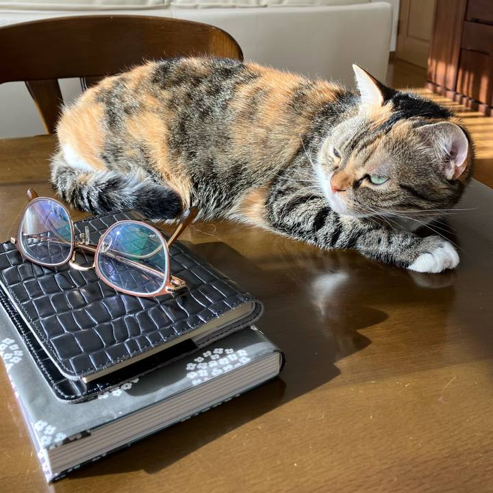 3bf1fd22 a9a3 44a2 9751 6d3ab76c9d15 1761803484673