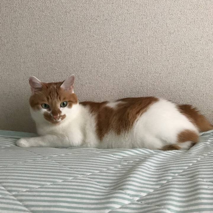 3bf23a3e 9a92 48fd 9827 2063bb7497ea 1535754216685