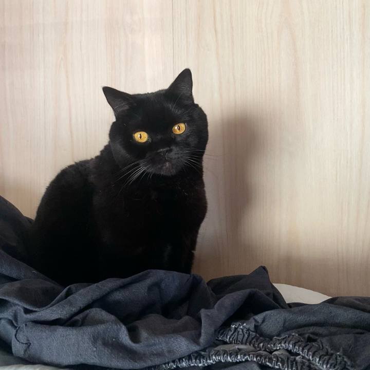 3bf24fb4 01f9 4a29 a8d6 0cd051fbf073 1764914540257