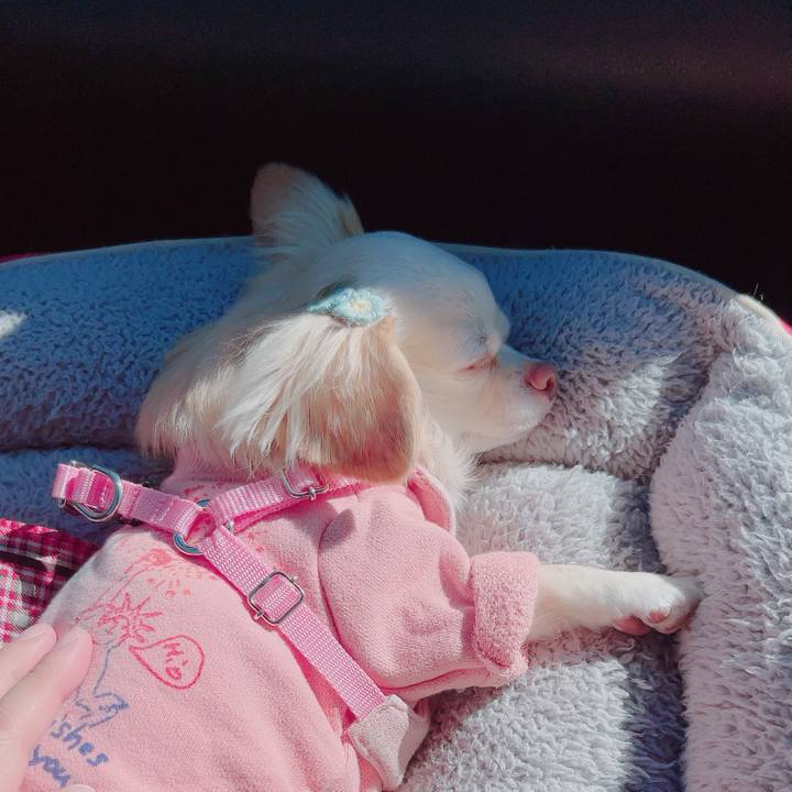 3bf257a0 a58c 43a1 8722 1131761ee454 1700377858657