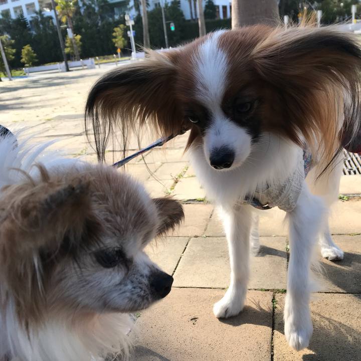 3bf26f01 24ca 4922 844f 0aa3beff89fa 1522411427252