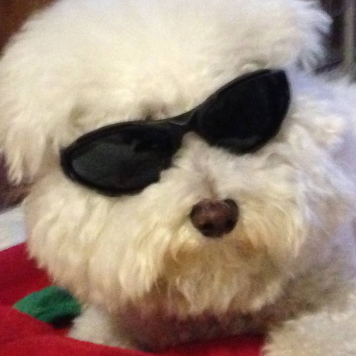 3bf290af 6f31 4bb4 88b2 3f0311fcd198 1555661286348