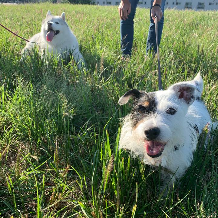 3bf2b6eb 9b5b 40df 9e90 488fc3f65963 1696288249012