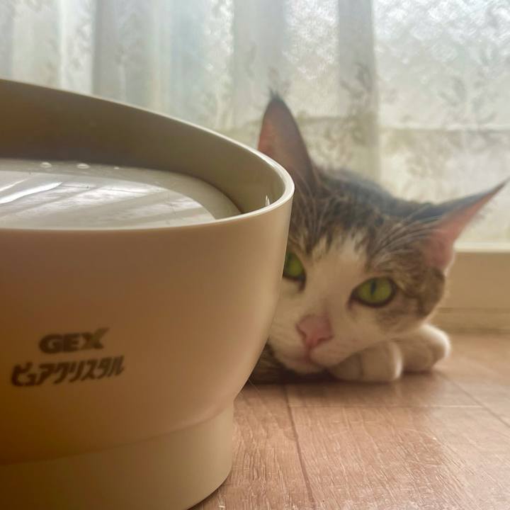 3bf2d6e4 7e29 4bea 8abe 771a0de22057 1632961724383